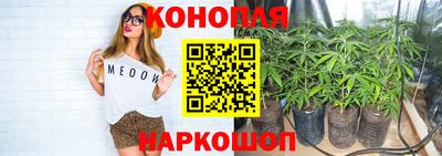 мяу мяу мука Гусь-Хрустальный