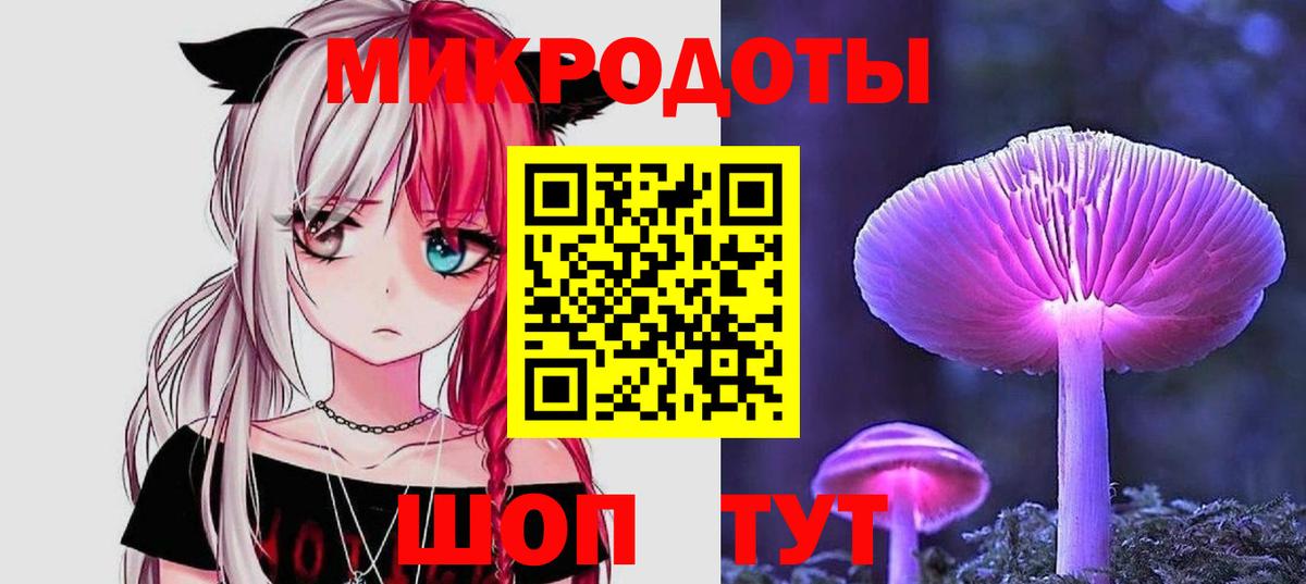 Галлюциногенные грибы Psilocybe Мытищи